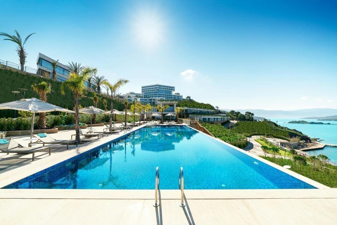 Modern Pool Design Trends You Should Know