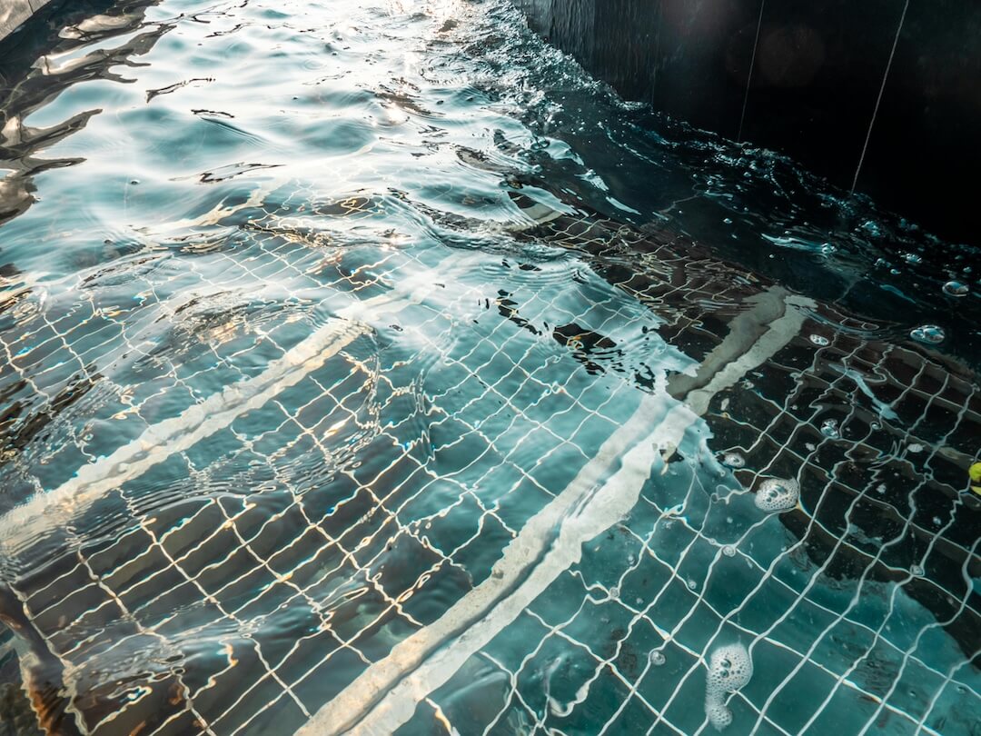 Signs Indicating Your Pool Pump Needs Replacing Image